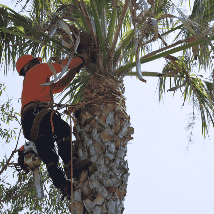 Your paragraph text (3)